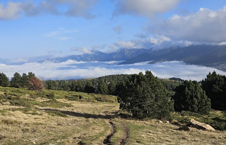 Acrobranche Font Romeu, Font-Romeu-Odeillo-Via, France, France